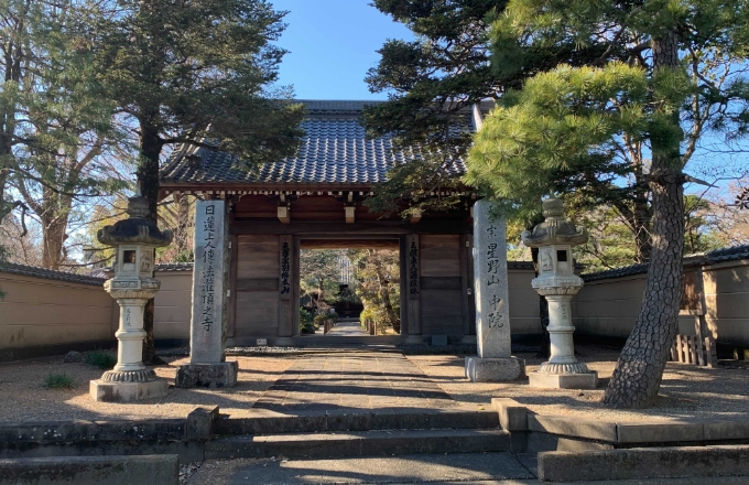 ④中院